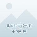 奥特曼传奇英雄二奈克赛斯奥特曼