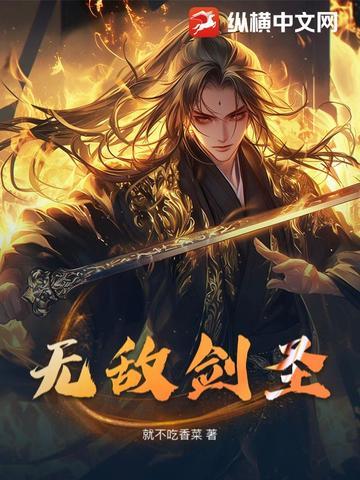 无敌剑圣之异界纵横