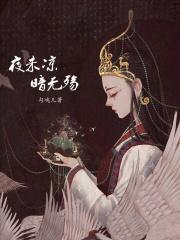 夜未殇什么意思