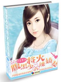 腹黑少将的闪婚小小妻黑道