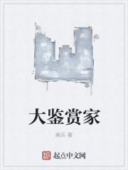 大鉴赏家全本TXT免费最新章节列表