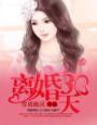 离婚三十天韩国