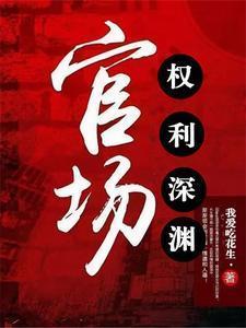 官场权利深渊的